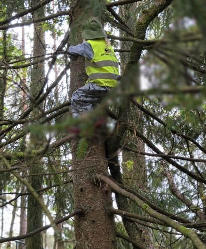 Det er veldig gøy å klatre i trær!